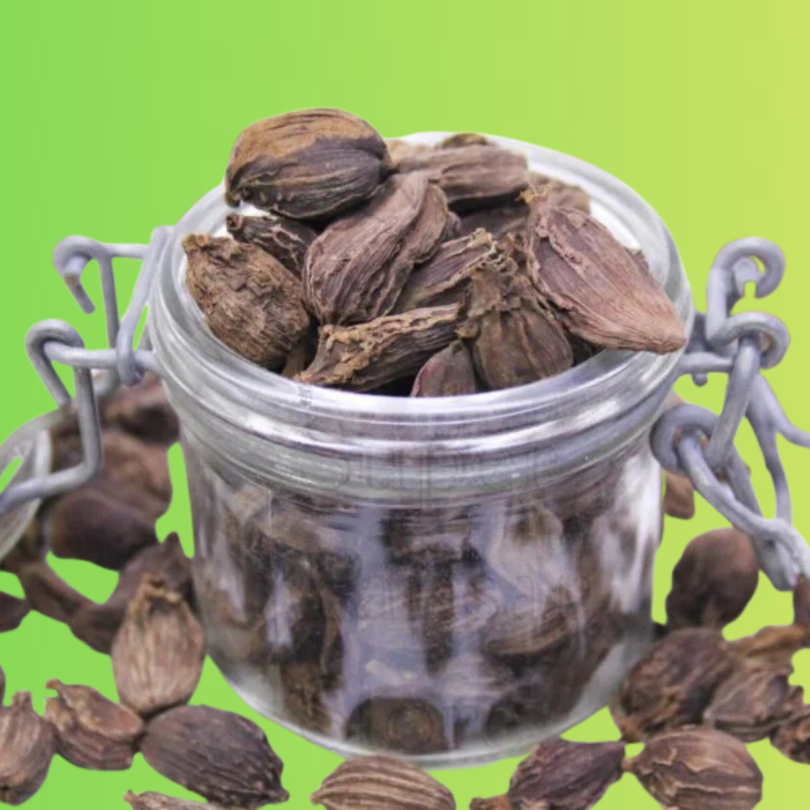 Black Cardamom India (Elaichi Kali)